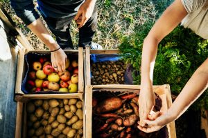 ‘Fall’ harvest: preparing portfolios for the next season ‘Fall’ harvest: preparing portfolios for the next season