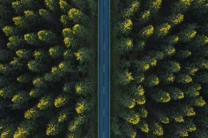 La gestion ESG démontre tous ses bienfaits La gestion ESG démontre tous ses bienfaits