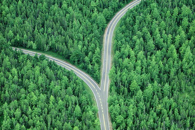 The Road Less Traveled: How Differentiated Thinking Can Benefit Investors