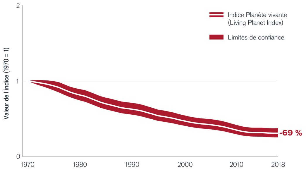 Perspectives d’investissement ESG Graphique 4 : Environ 70 % des espèces vertébrées ont disparu depuis 1970
