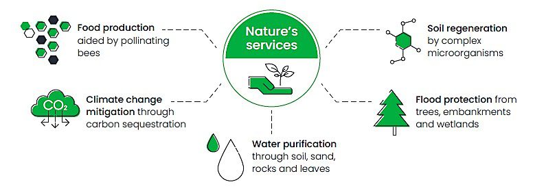 Nature's services