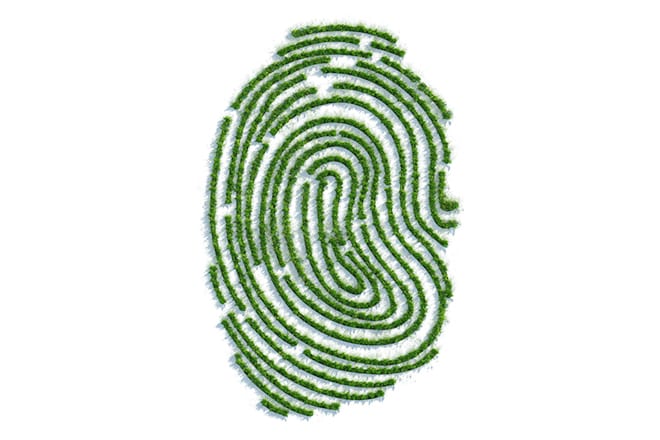 Fingerprint_Grass_660x440