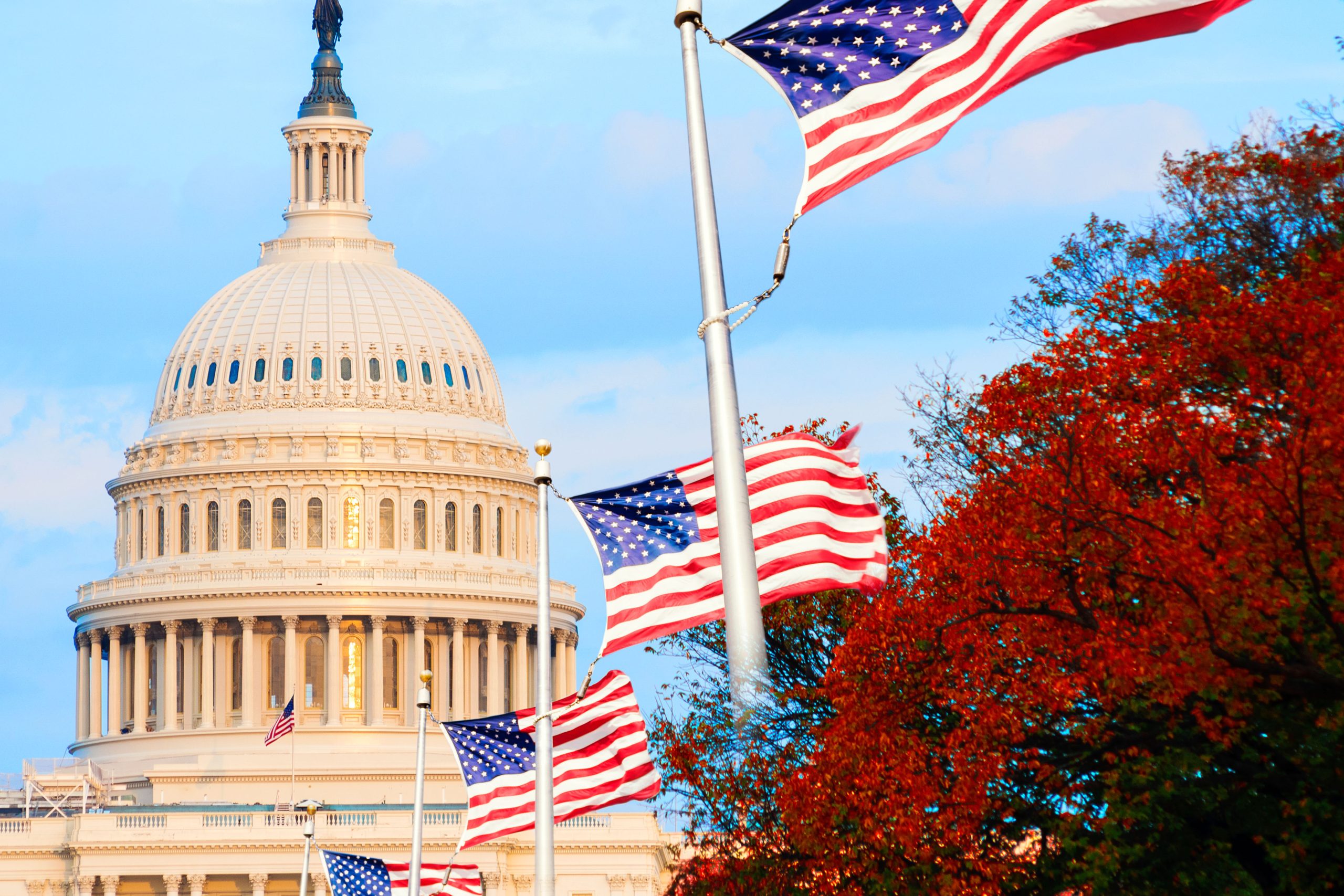 Соединённые штаты америки вашингтон. Америка. Предложения о сша. Флаг сша. Американский фон.