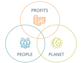 The triple bottom line