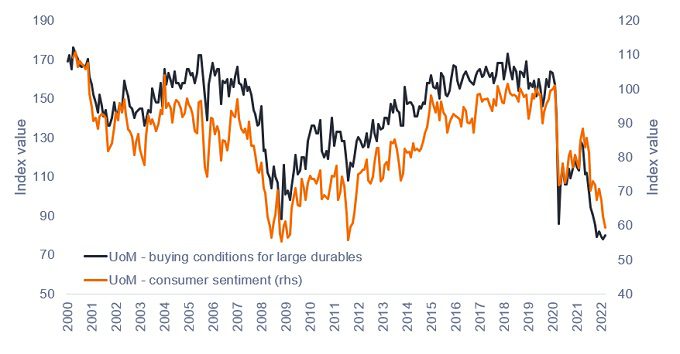 Consumer Sentiment Negatively Impacted by Inflation