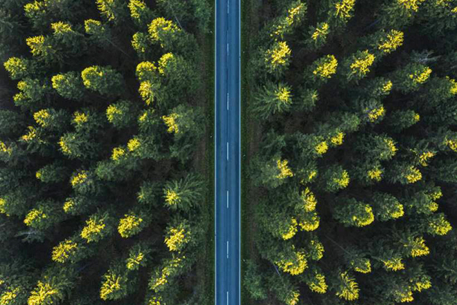 Market GPS: Stay Focused on Long-Term Growth Themes Market GPS: Stay Focused on Long-Term Growth Themes