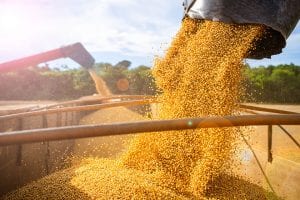 Harvesting higher yields in today’s bond markets