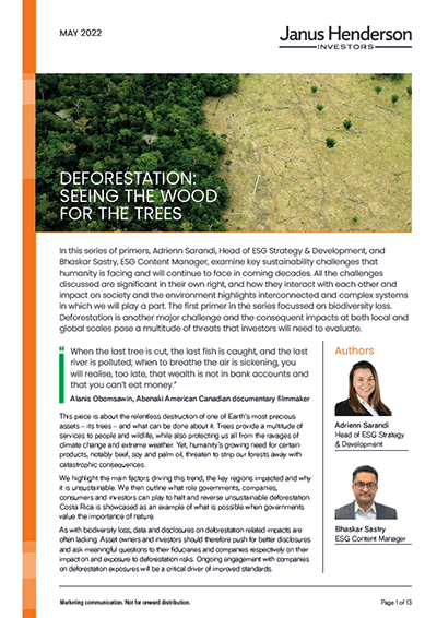 pdf-promo-deforestation-seeing-the-wood-for-the-trees